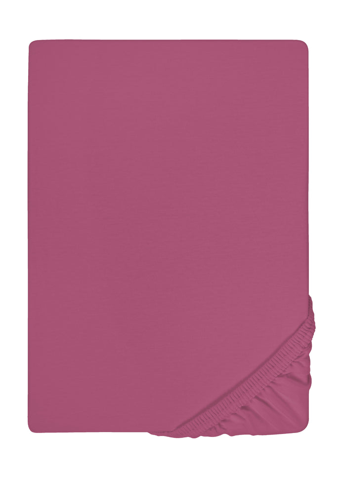 biberna Feinjersey Spannbetttuch 180x200 cm - 200x200 cm