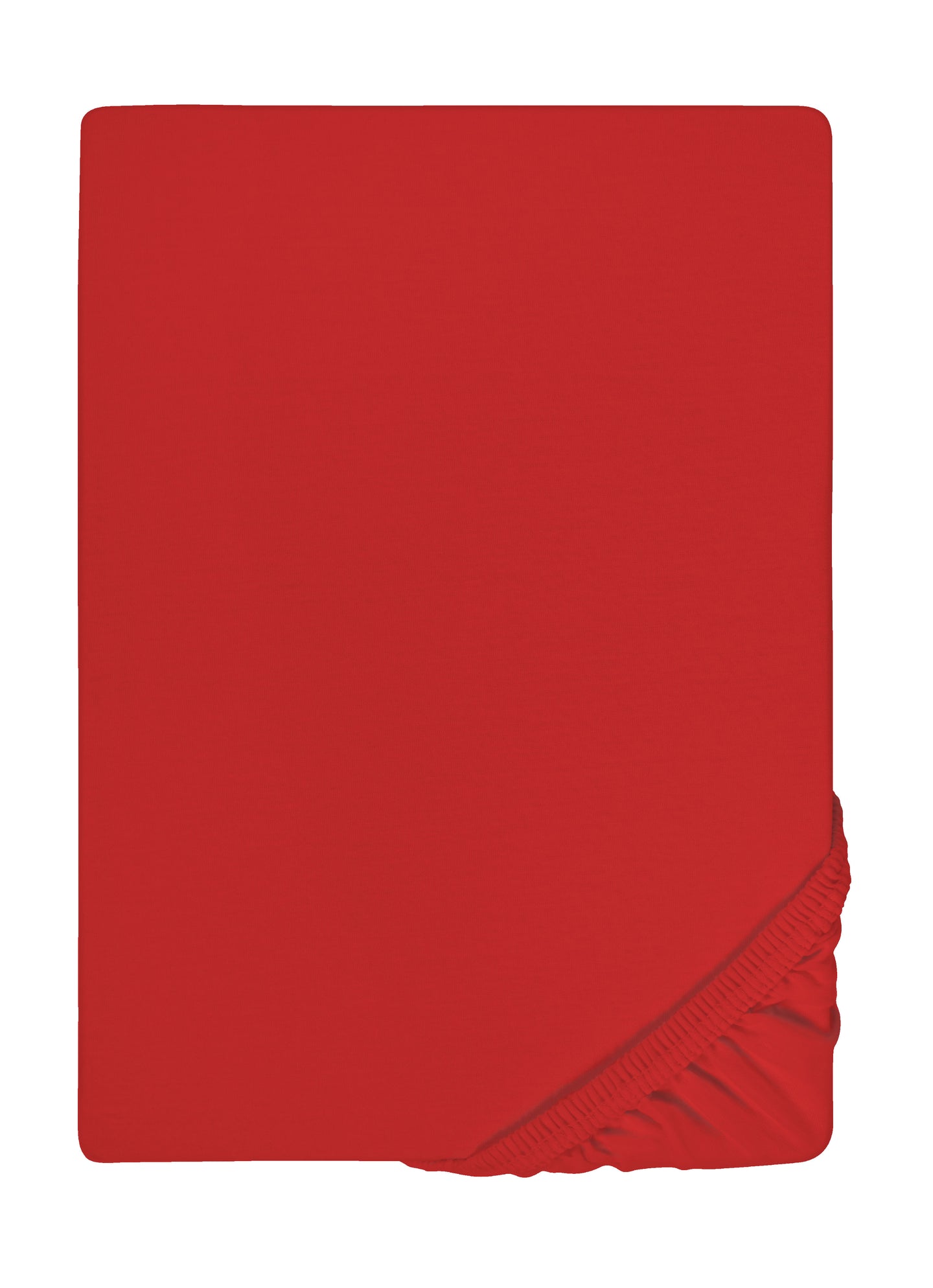biberna Feinjersey Spannbetttuch 180x200 cm - 200x200 cm