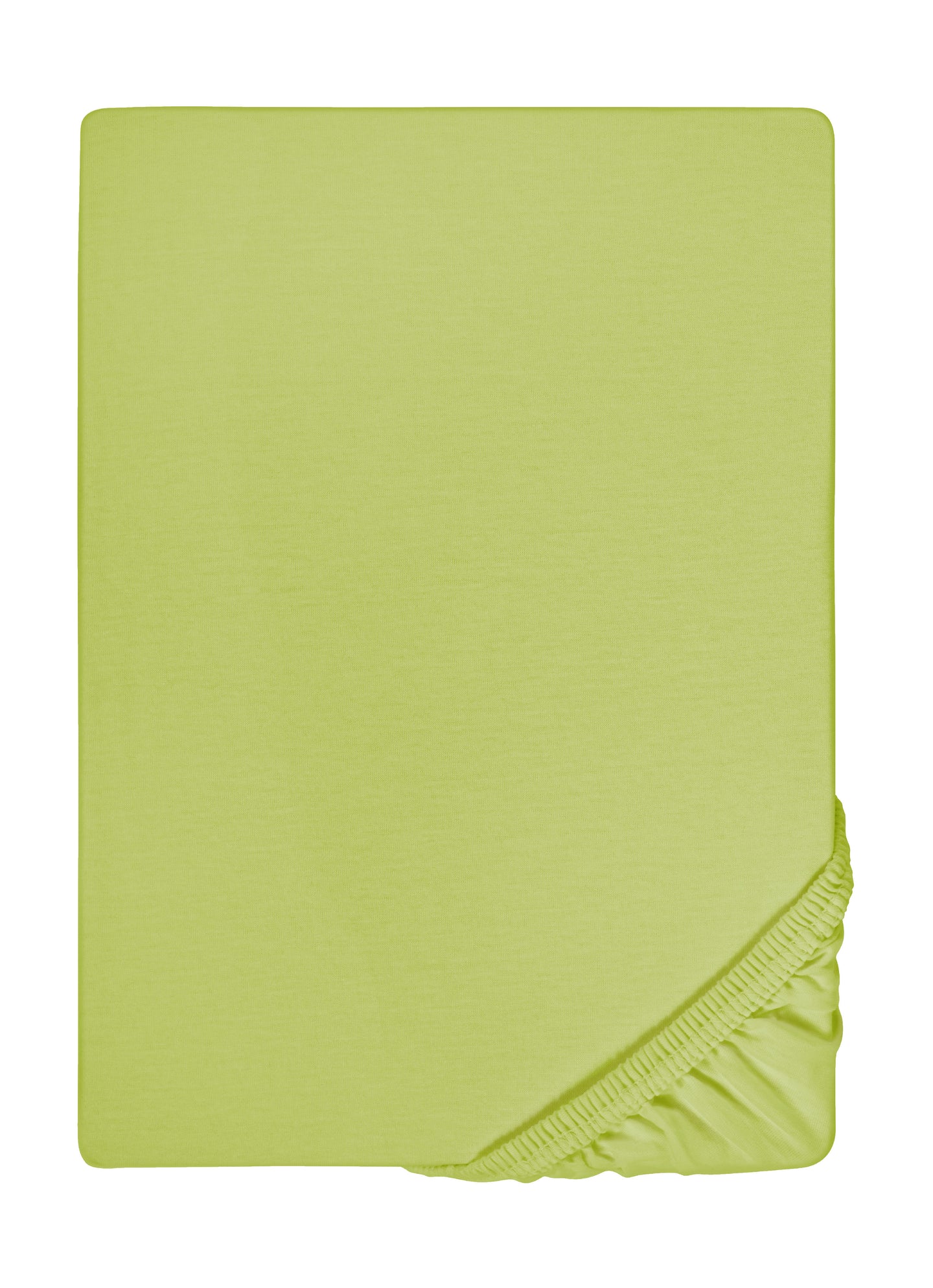 biberna Feinjersey Spannbetttuch 180x200 cm - 200x200 cm