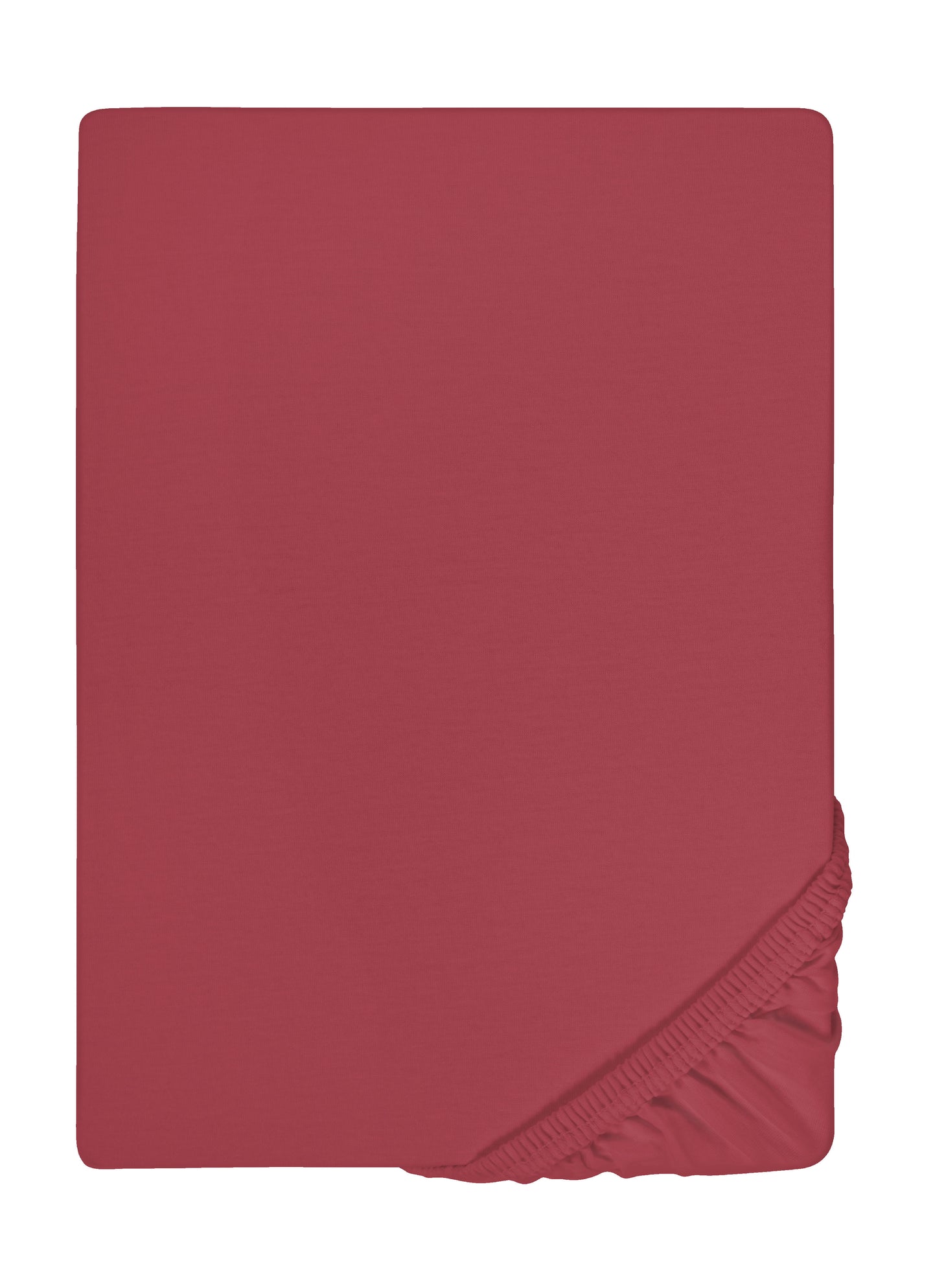biberna Feinjersey Spannbetttuch 180x200 cm - 200x200 cm