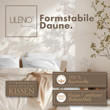 3-Kammer-Kopfkissen 2er Set - Daunenkissen 40x80 & Daunenkissen 80x80 - langlebiges Baumwollkissen