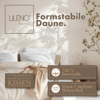 3-Kammer-Kopfkissen 2er Set - Daunenkissen 40x80 & Daunenkissen 80x80 - langlebiges Baumwollkissen