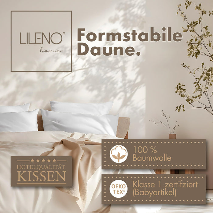 3-Kammer-Kopfkissen 2er Set - Daunenkissen 40x80 & Daunenkissen 80x80 - langlebiges Baumwollkissen