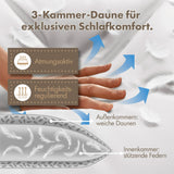 3-Kammer-Kopfkissen 2er Set - Daunenkissen 40x80 & Daunenkissen 80x80 - langlebiges Baumwollkissen